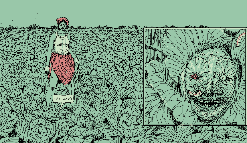 cabbage head